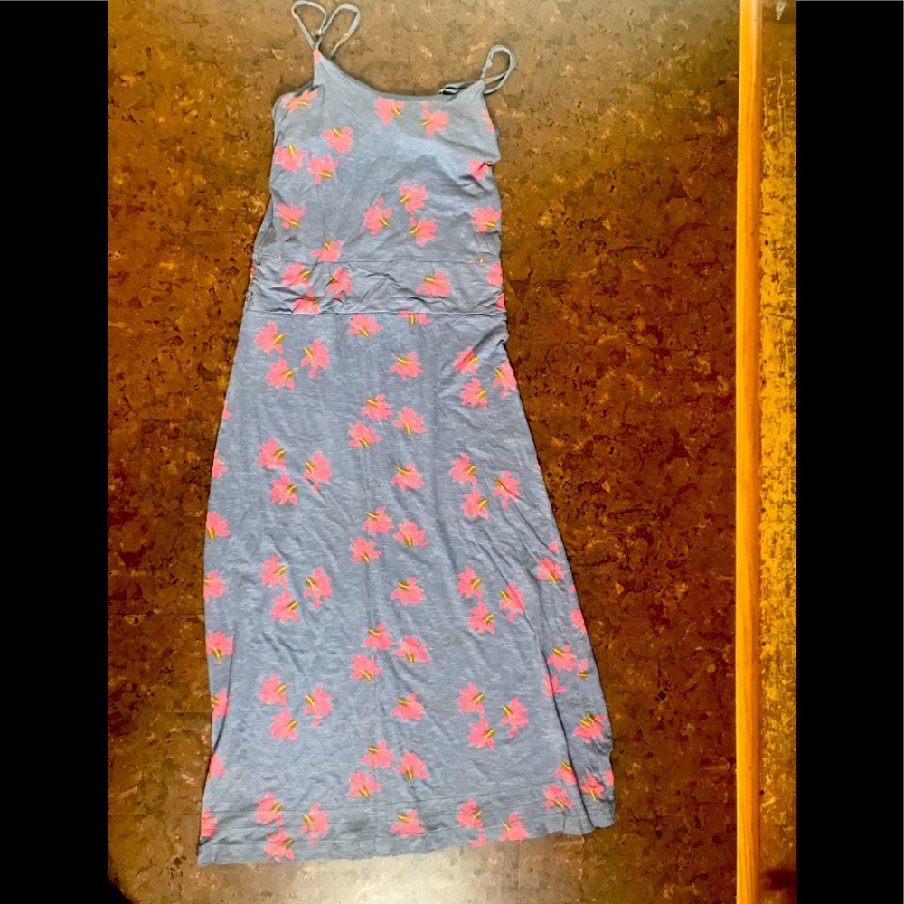 Horny Toad Dress